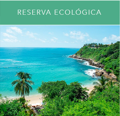 Reserva