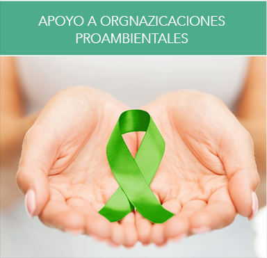 Apoyo